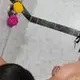 Sophia Leone avatar