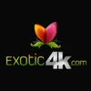 Exotic4k avatar